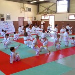 Mouvement collectif